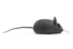 Beeztees Kedi Oyuncağı, Velur Fare, Çeşitli Renklerde, 12,5x3x2,6cm - Görsel 5