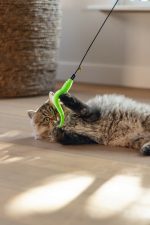 Beeztees Kedi Oltası, Zilli, Peluş Oyuncaklı, Çeşitli Renklerde, - Görsel 2