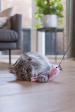 Beeztees Kedi Oltası, Zilli, Peluş Ahtapot, - Görsel 3