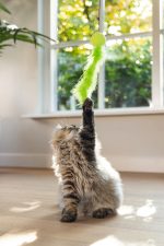 Beeztees Kedi Oltası, Zilli, Peluş Top ve Kuyruk, - Görsel 4