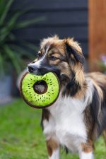 Beeztees Köpek Oyuncağı, Donut, Peluş, Çeşitli Renklerde, 12x12x5cm - Görsel 10