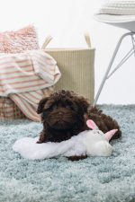 Beeztees Yavru Köpek Oyuncağı, Unicorn, Peluş, Beyaz, 74x14x15cm - Görsel 6