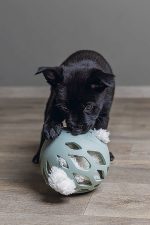 Beeztees Yavru Köpek Oyuncağı, Peluş, Beyaz, 40x22x5cm - Görsel 4