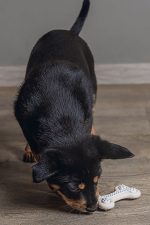 Beeztees Yavru Köpek Diş Oyuncağı, İçi Dolu Halka, Kauçuk, Pembe, 10cm - Görsel 5