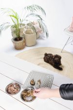 Beeztees Yavru Köpek Yaş Mama Yeme Oyuncağı, Kare, Silikon, Gri, 20x20cm - Görsel 4