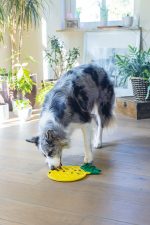 Beeztees Yavru Köpek Yaş Mama Yeme Oyuncağı, Ananas Şeklinde,Silikon, Sarı, 20x20cm - Görsel 4