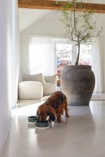 Beeztees DBL Köpek Mama Su Kabı, Seramik, Mat Yeşil, 13cm, 160ml - Görsel 4