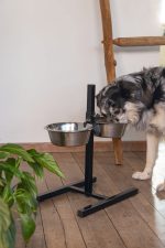 Beeztees Köpek İkili Mama Su Kabı, Ayaklı, Paslamaz Çelik, 25cm, 2x2,5L - Görsel 4