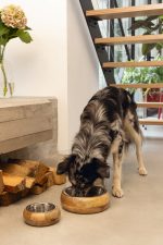 Beeztees DBL Köpek Mama Su Kabı, Dışı Masif Ahşap, Paslanmaz Çelik, 21cm, 1300ml - Görsel 6