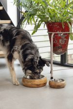 Beeztees DBL Köpek Mama Su Kabı, Dışı Masif Ahşap, Paslanmaz Çelik, 21cm, 1300ml - Görsel 8