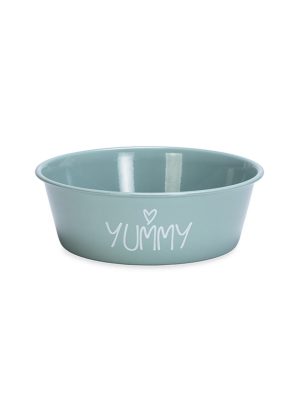 Beeztees Yavru Köpek Mama Su Kabı, Paslanmaz Çelik, Kaymaz Taban, Turkuaz, 13cm, 470ml