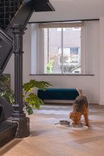 Beeztees DBL Mama Su Kabı Servisi, Silikon, Kaymaz, Bej, 55x30x1,7cm - Görsel 5