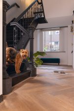 Beeztees DBL Mama Su Kabı Servisi, Silikon, Kaymaz, Bej, 55x30x1,7cm - Görsel 6