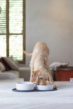 Beeztees DBL Mama Su Kabı Servisi, Silikon, Kaymaz, Antrasit, 55x30x1,7cm - Görsel 2