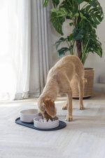 Beeztees DBL Mama Su Kabı Servisi, Silikon, Kaymaz, Antrasit, 55x30x1,7cm - Görsel 3