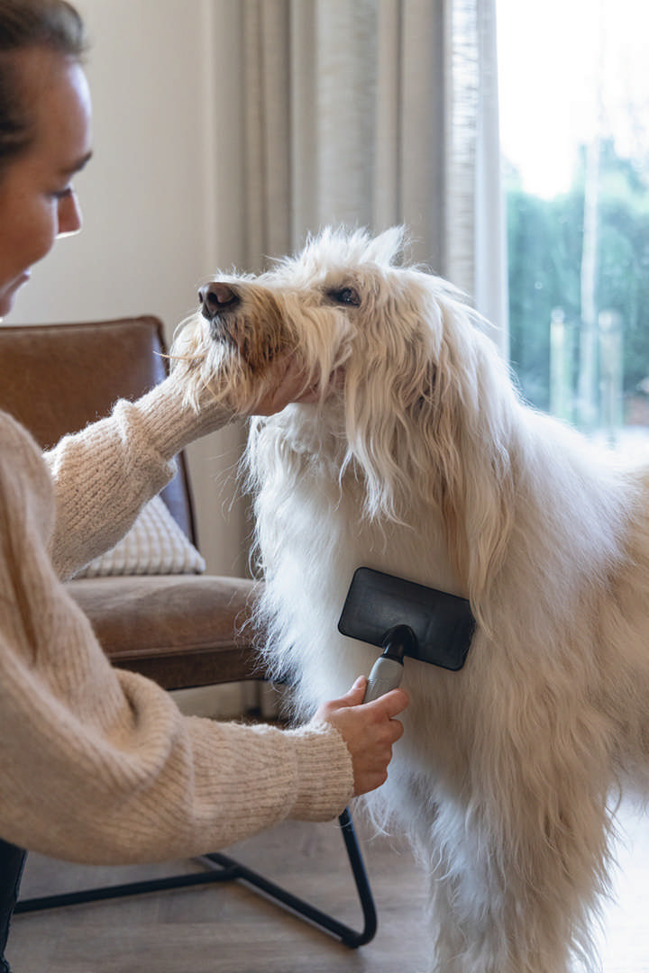 1143168_beeztees-kopek-taragi-kolay-tarama-sm-siyah-gri-18cm-18x10x2cm-kpek-taraklar-ve-tra-rnleri-beeztees-20710-54-B.jpg Beeztees Köpek Tarağı, Kolay Tarama, SM, Siyah Gri, 18cm, 18x10x2cm - Görsel 2