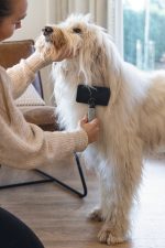 Beeztees Köpek Tarağı, Kolay Tarama, SM, Siyah Gri, 18cm, 18x10x2cm - Görsel 5