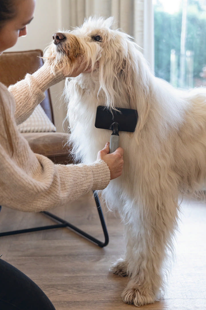 1143168_beeztees-kopek-taragi-kolay-tarama-sm-siyah-gri-18cm-18x10x2cm-kpek-taraklar-ve-tra-rnleri-beeztees-20715-54-B.jpg Beeztees Köpek Tarağı, Kolay Tarama, SM, Siyah Gri, 18cm, 18x10x2cm - Görsel 5