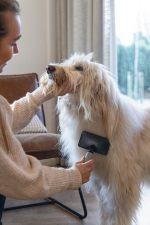 Beeztees Köpek Tarağı, Kolay Tarama, SM, Siyah Gri, 19cm, 19x12x4cm - Görsel 2