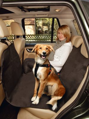 Beeztees Köpek Arka Koltuk Örtüsü, Su Geçirmez, Siyah, 160x129cm