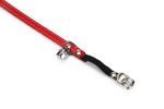Beeztees Kedi Boyun Tasması, Deri, Zilli, Kırmızı, 24-29cm - Görsel 2