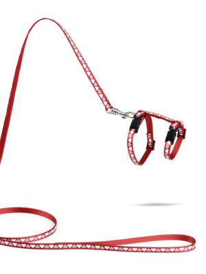 Beeztees Yavru Kedi Göğüs Tasması ve Gezdirme Kayışı 120cm, Kırmızı, 16-25cm Boyun, 23-36cm Göğüs