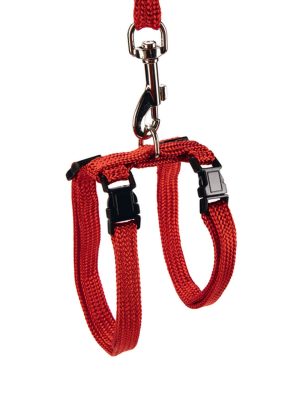 Beeztees Kedi Göğüs Tasması ve Gezdirme Kayışı, 130cm, Kırmızı