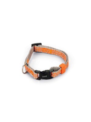 Beeztees Köpek Boyun Tasması, Açık Gri Turuncu, 20-30cm