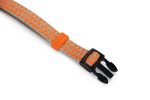 Beeztees Köpek Boyun Tasması, Açık Gri Turuncu, 35-50cm - Görsel 2