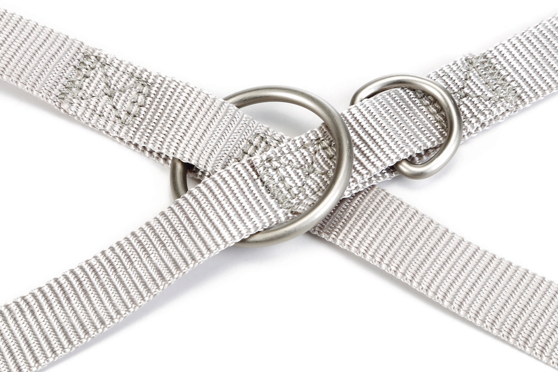 1143277_beeztees-kopek-gezdirme-kayisi-acik-gri-120cm-20mm-kpek-gezdirme-kaylar-beeztees-20142-55-B.jpg Beeztees Köpek Gezdirme Kayışı, Açık Gri, 120cm, 20mm - Görsel 3