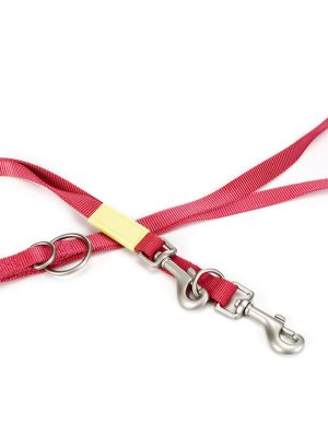 Beeztees Köpek Gezdirme Kayışı, Pembe, 200cm, 20mm