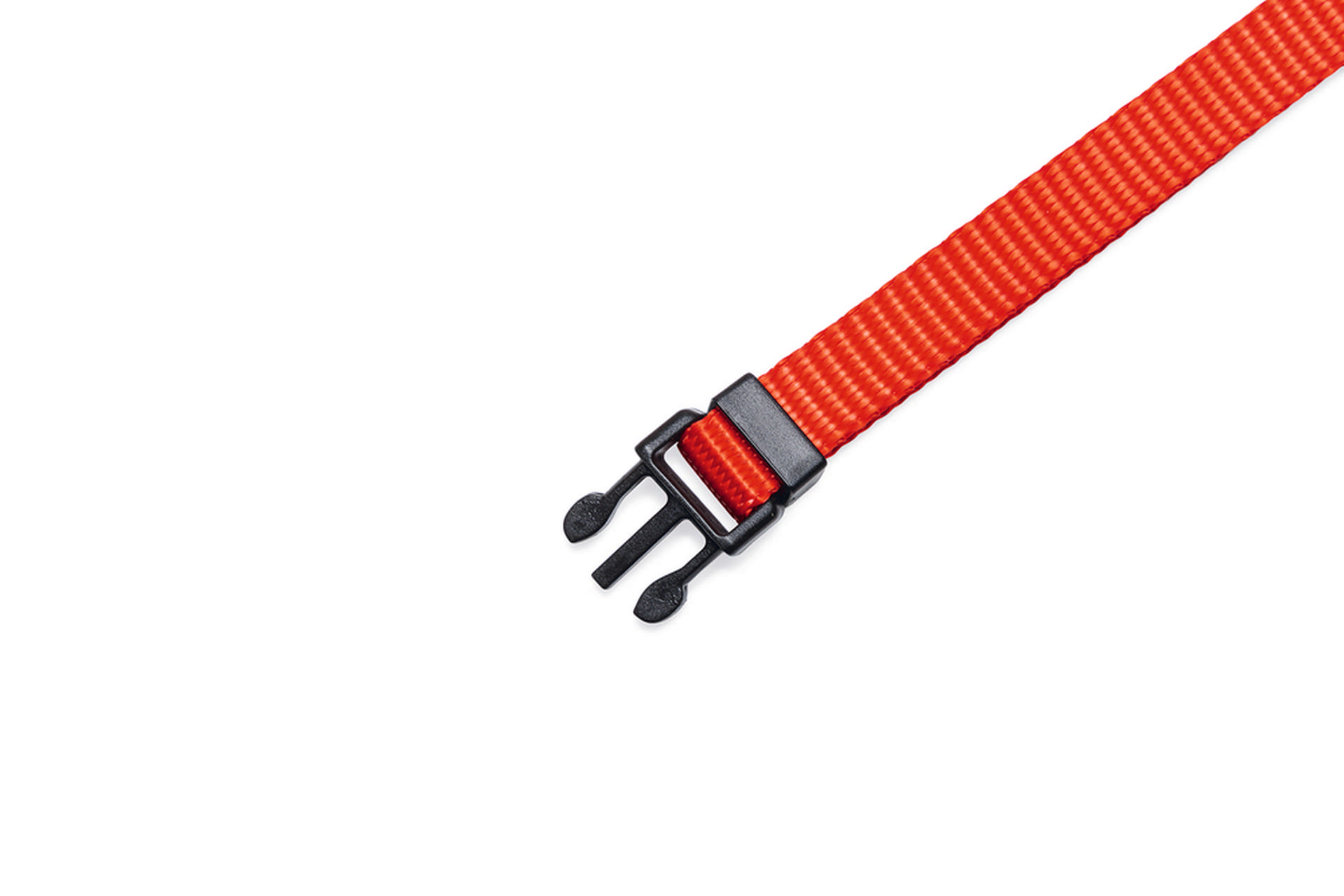 1143289_beeztees-yavru-kopek-boyun-tasmasi-cesitli-renklerde-22-35cm-10mm-yavru-kpek-rnleri-beeztees-20088-55-B.jpg Beeztees Yavru Köpek Boyun Tasması, Çeşitli Renklerde, 22-35cm, 10mm - Görsel 5