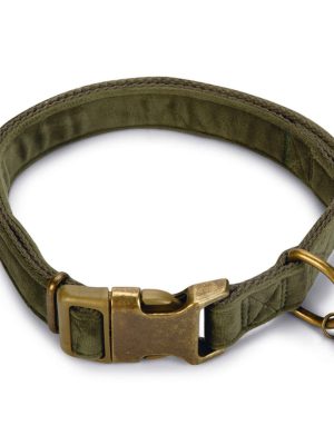 Beeztees DBL Köpek Tasması, Kadife, Nefti, 48-70cm, 25mm