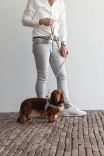 Beeztees DBL Köpek Göğüs Tasması, Velur, Gri, S, 20mm x 52cm - Görsel 5