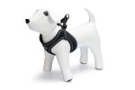 Beeztees Köpek Göğüs Tasması, Neopren, Siyah, M, 41-46cm