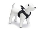 Beeztees Köpek Göğüs Tasması, Neopren, Siyah, M, 41-46cm - Görsel 2
