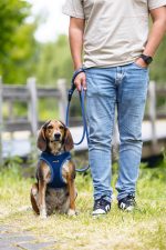 Beeztees Köpek Göğüs Tasması, Neopren, Mavi, M, 41-46cm - Görsel 6