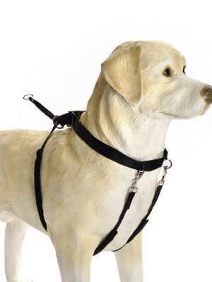 Beeztees Köpek Yürüyüş Eğitim ve Düzeltme Tasması, XL