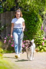 Beeztees Köpek Dışkı Toplama Poşeti Taşıma Çantası, Gri, 8x5x5cm - Görsel 5