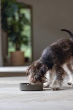 Beeztees DBL Köpek Yavaş Besleme Mama Kabı, Bambu, Antrasit, 17cm, 800ml - Görsel 2