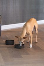 Beeztees DBL Köpek Yavaş Besleme Mama Kabı, Bambu, Antrasit, 17cm, 800ml - Görsel 4