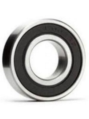 ON TEKER RULMANI EM DIS R12