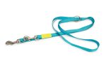 Beeztees Köpek Gezdirme Kayışı, Turkuaz, 200cm, 20mm