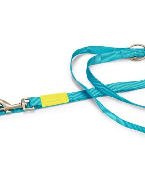 Beeztees Köpek Gezdirme Kayışı, Turkuaz, 200cm, 20mm