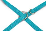 Beeztees Köpek Gezdirme Kayışı, Turkuaz, 200cm, 20mm - Görsel 3