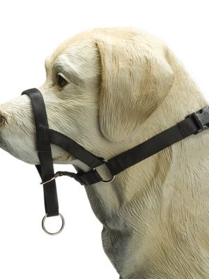 Beeztees Köpek Eğitim Tasması, Baş Kontrollu, Siyah, S