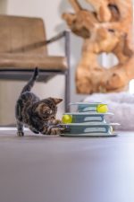 Beeztees Yavru Kedi Oyuncağı, 3 Katlı, 25x25x13cm - Görsel 2