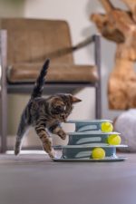 Beeztees Yavru Kedi Oyuncağı, 3 Katlı, 25x25x13cm - Görsel 3