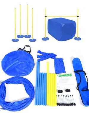 Pawise Dog Training Set Eğitim Seti