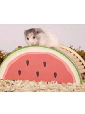 Pawise Ahşap Kemirgen Yuvası Karpuz